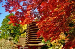 談山神社の紅葉と例大祭