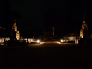 春日若宮おん祭に行ってきました。